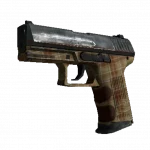 P2000 | Coach Class (Field-Tested)