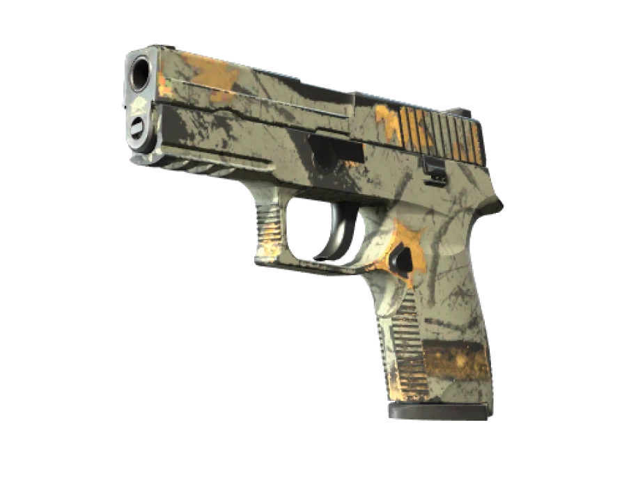 P250 | Modern Hunter (Well-Worn) - Image 1