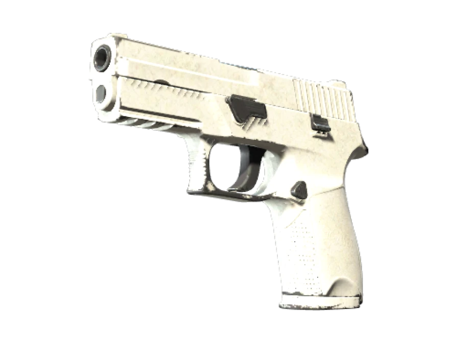 P250 | Whiteout (Field-Tested) - Image 1
