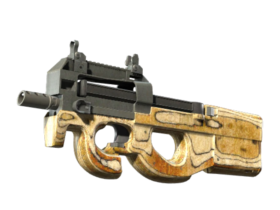 P90 | Shapewood (Well-Worn) - Image 1