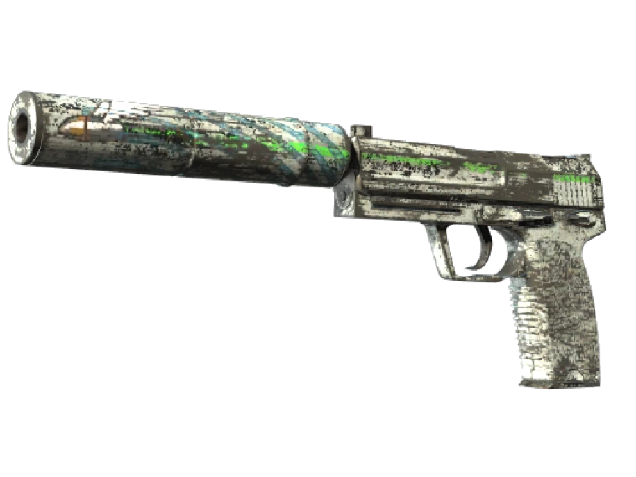 Souvenir USP-S | Road Rash (Battle-Scarred) - Image 1