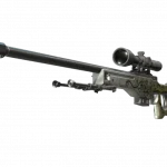 StatTrak™ AWP | Worm God (Factory New)