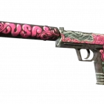 StatTrak™ USP-S | Cortex (Field-Tested)