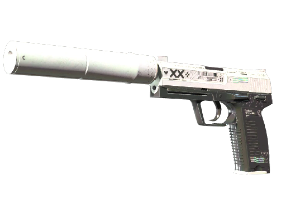 StatTrak™ USP-S | Printstream (Well-Worn) - Image 1