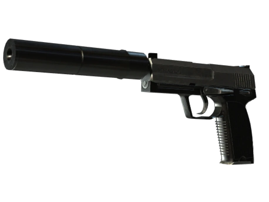 StatTrak™ USP-S | Stainless (Battle-Scarred) - Image 1