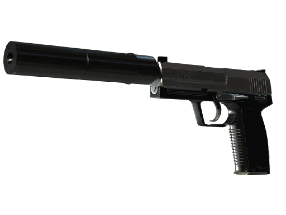 StatTrak™ USP-S | Stainless (Field-Tested) - Image 1