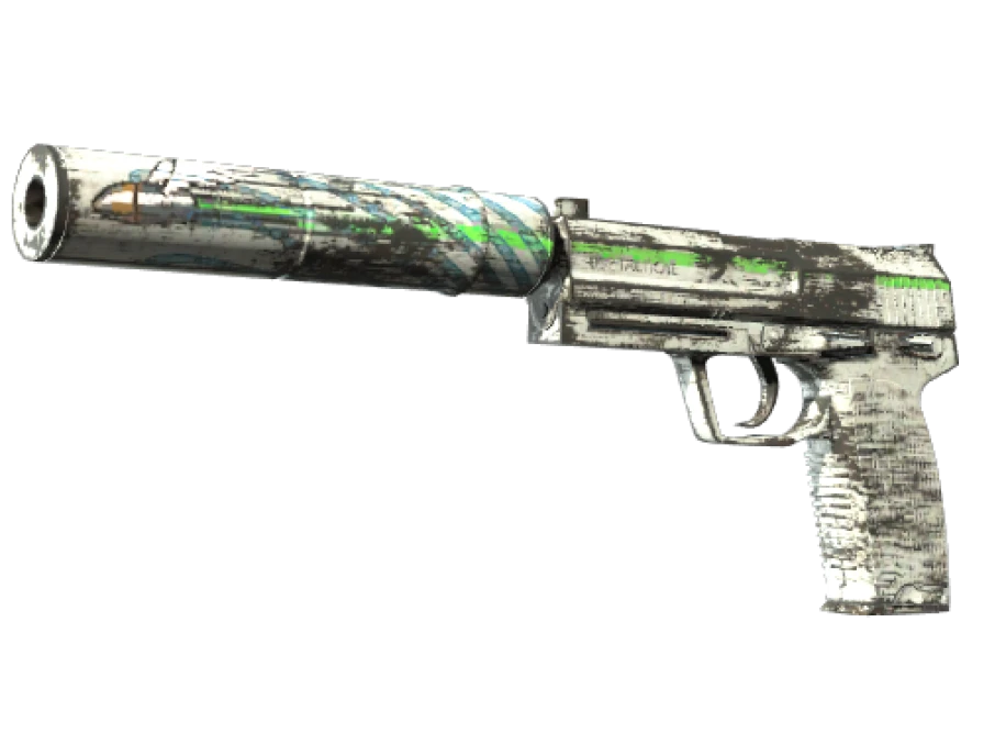 USP-S | Road Rash (Well-Worn) - Image 1