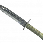 ★ Bayonet | Stained (Well-Worn)
