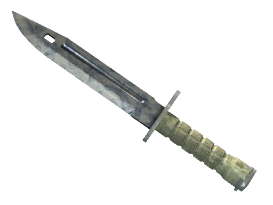 ★ Bayonet | Stained (Well-Worn) - Image 1