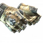 ★ Bloodhound Gloves | Bronzed (Well-Worn)