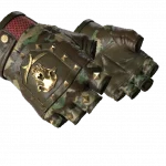 ★ Bloodhound Gloves | Guerrilla (Minimal Wear)