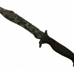 ★ Bowie Knife | Forest DDPAT (Minimal Wear)
