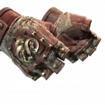 ★ Broken Fang Gloves | Needle Point (Battle-Scarred)