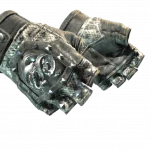 ★ Broken Fang Gloves | Unhinged (Field-Tested)