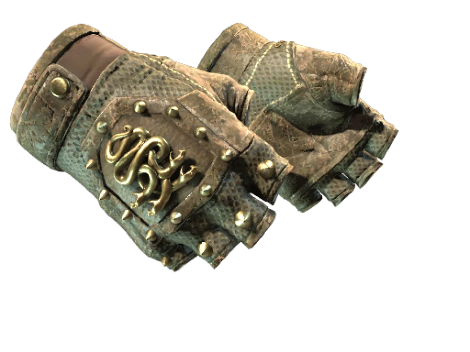 ★ Hydra Gloves | Mangrove (Battle-Scarred) - Image 1