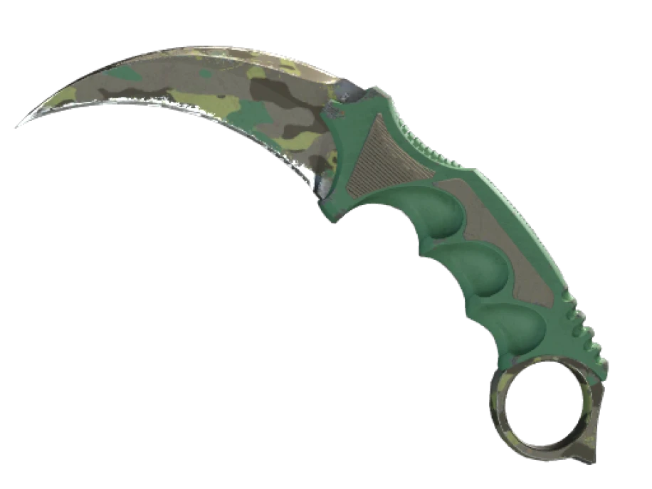 ★ Karambit | Boreal Forest (Field-Tested) - Image 1