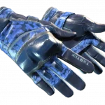 ★ Moto Gloves | Polygon (Field-Tested)