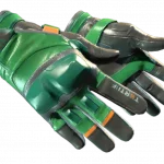 ★ Moto Gloves | Turtle (Minimal Wear)