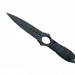 ★ Skeleton Knife | Night Stripe (Well-Worn)