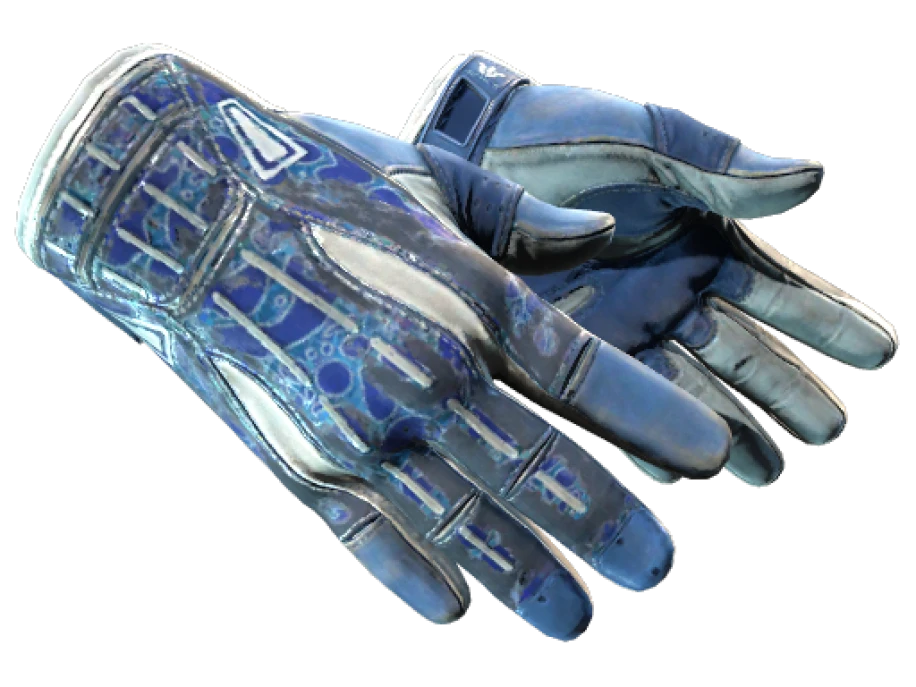 ★ Sport Gloves | Amphibious (Battle-Scarred) - Image 1