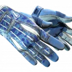 ★ Sport Gloves | Amphibious (Field-Tested)