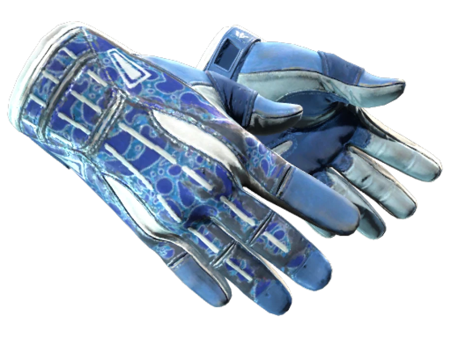 ★ Sport Gloves | Amphibious (Field-Tested) - Image 1