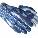 ★ Sport Gloves | Amphibious (Minimal Wear)