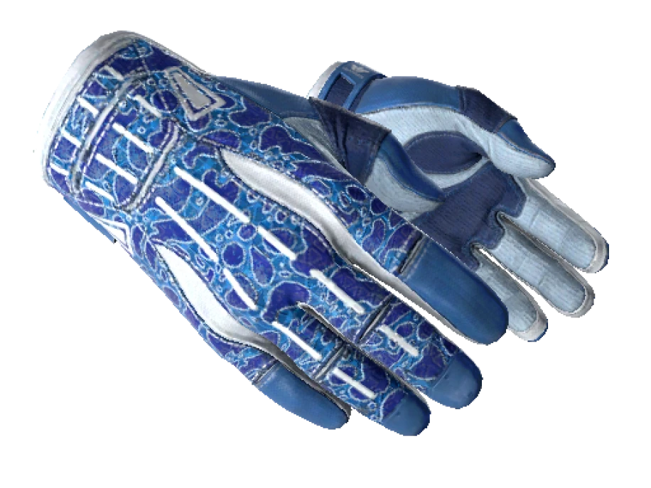 ★ Sport Gloves | Amphibious (Minimal Wear) - Image 1
