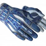★ Sport Gloves | Amphibious (Well-Worn)