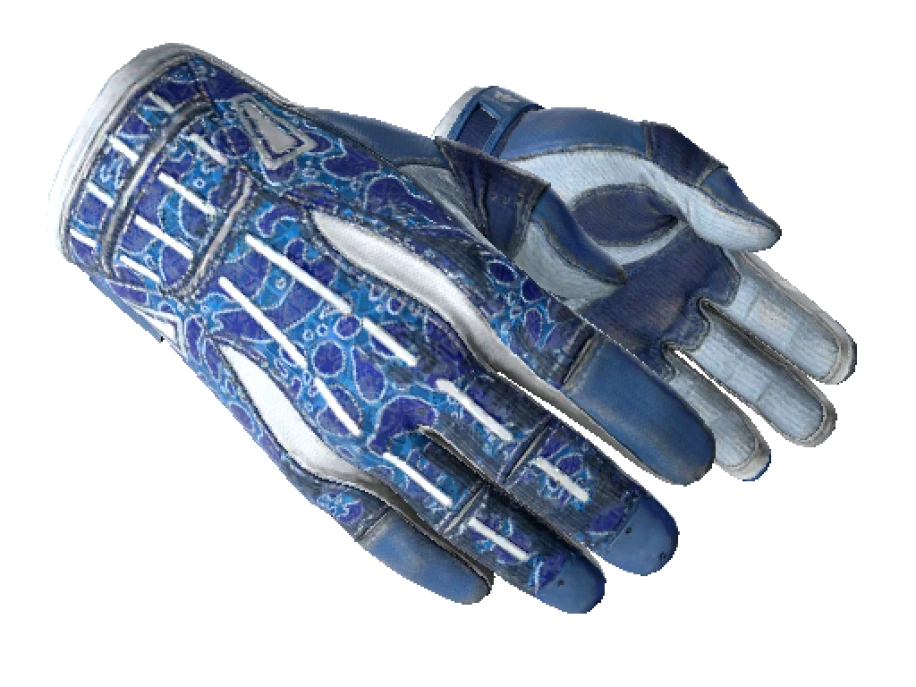 ★ Sport Gloves | Amphibious (Well-Worn) - Image 1