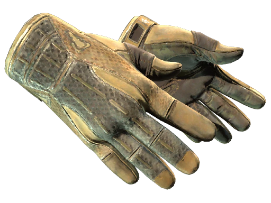 ★ Sport Gloves | Arid (Battle-Scarred) - Image 1
