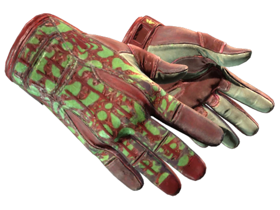 ★ Sport Gloves | Bronze Morph (Well-Worn) - Image 1