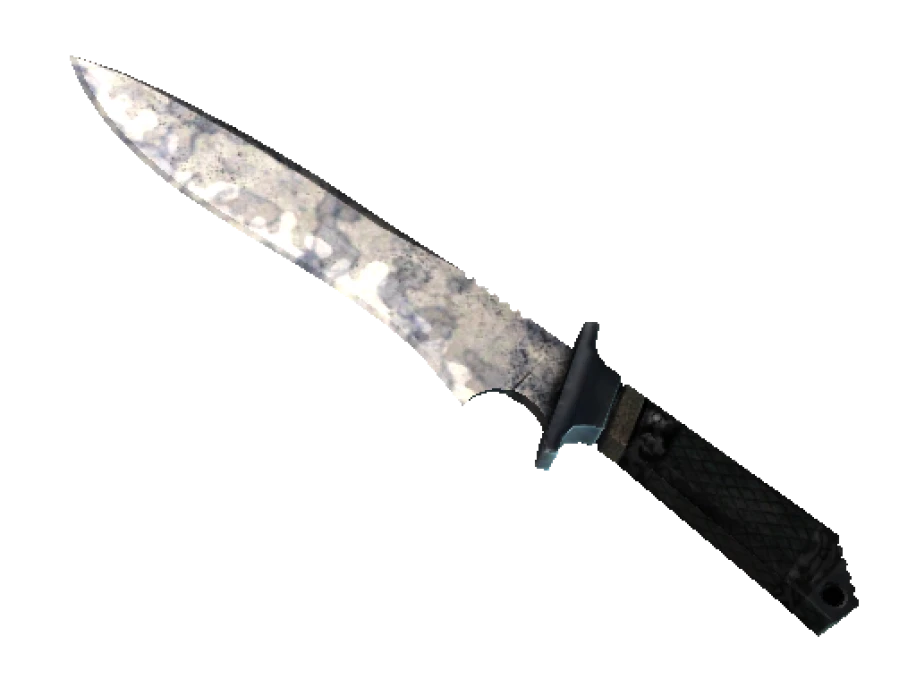 ★ StatTrak™ Classic Knife | Stained (Field-Tested) - Image 1