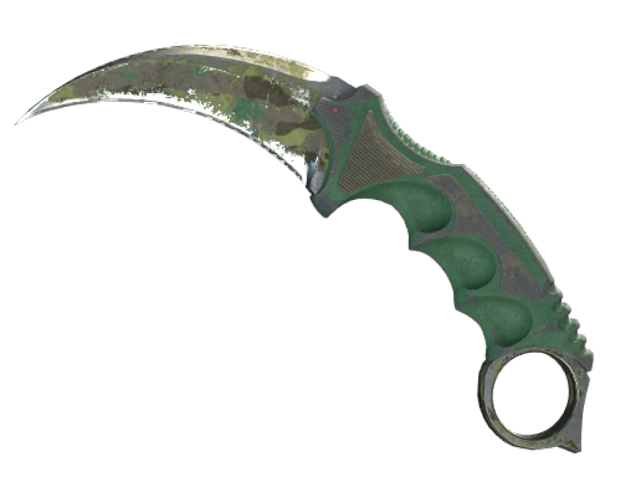 ★ StatTrak™ Karambit | Boreal Forest (Battle-Scarred) - Image 1