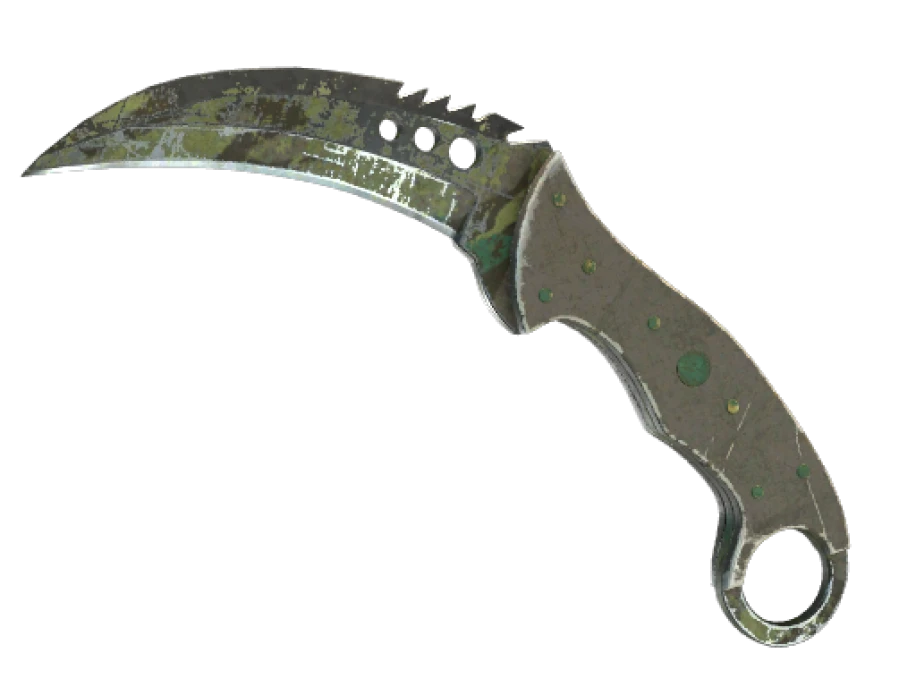 ★ Talon Knife | Boreal Forest (Battle-Scarred) - Image 1