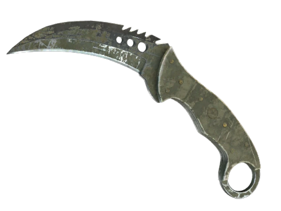 ★ Talon Knife | Safari Mesh (Battle-Scarred) - Image 1