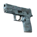 P250 | Forest Night (Factory New)