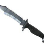 ★ Bowie Knife | Stained (Minimal Wear)