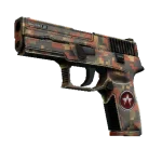P250 | Red Rock (Well-Worn)
