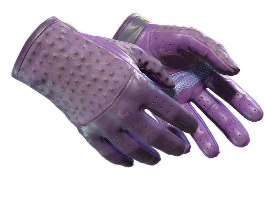 ★ Driver Gloves | Plum Quill (Field-Tested) - Image 1
