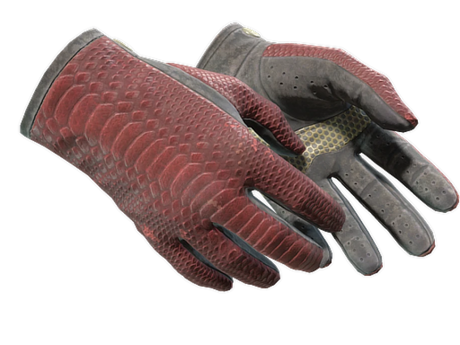 ★ Driver Gloves | Dragon Fists (Well-Worn) - Image 1