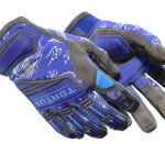 ★ Specialist Gloves | Cloud Chaser (Field-Tested)