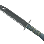 ★ Bayonet | Night (Field-Tested)