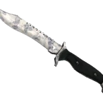 ★ Bowie Knife | Stained (Factory New)