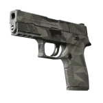 P250 | Facets (Well-Worn)